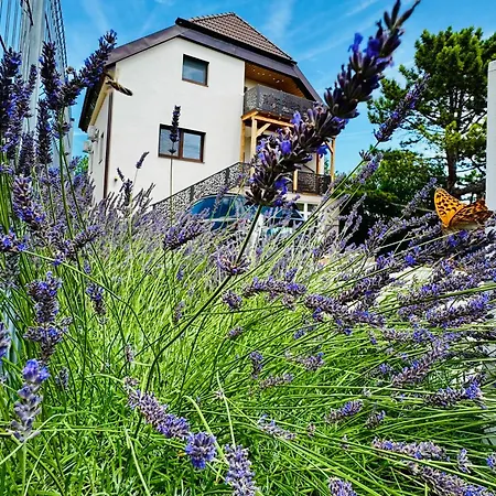 Voeroesko Apartmanhaz شقة *